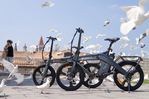 DYU T1 electric bikes in gray outdoors surrounded by birds DYU T1 electric bikes in gray outdoors surrounded by birds