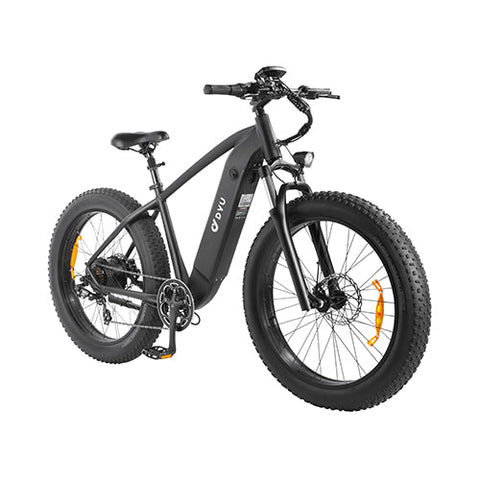 DYU King 750 26 Inch 48V 750W 45KM/H Mountain Electric Bike e bike deals electric minibikes for adults DYU King 750 26 Inch 48V 750W 45KM/H Mountain Electric Bike e bike deals electric minibikes for adults